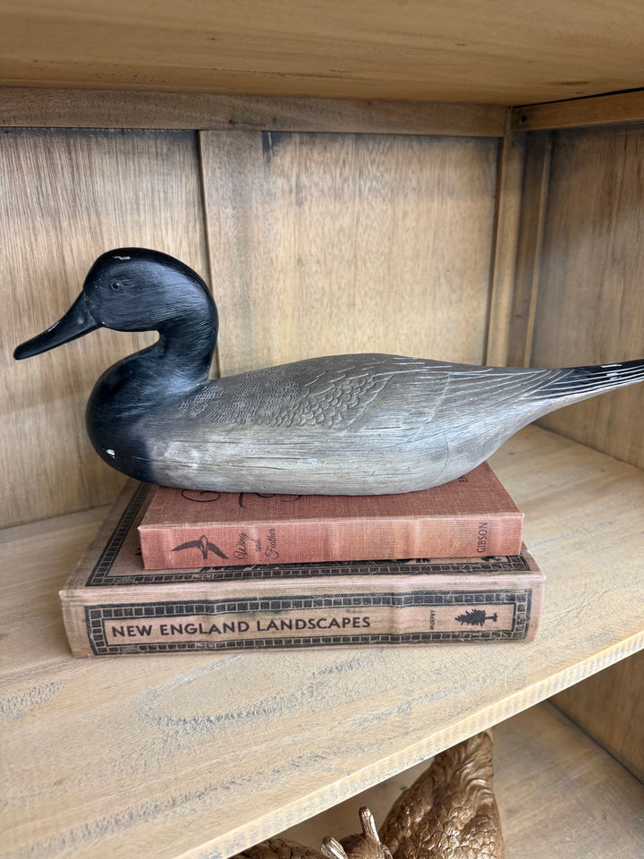 Wings and Feathers Book Decor