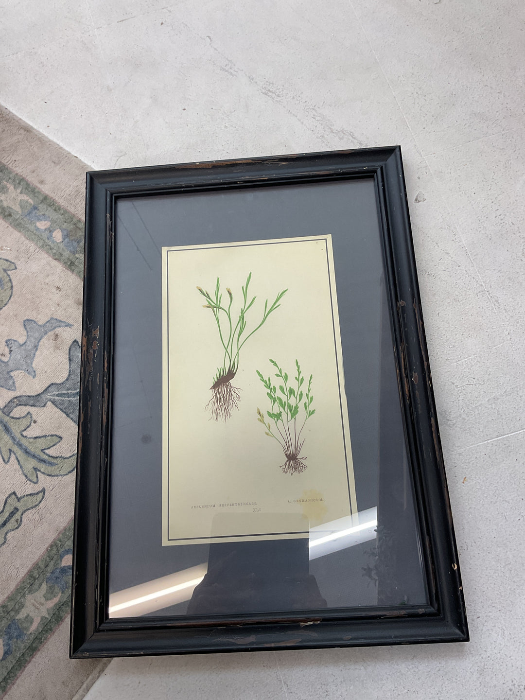 Picture Set