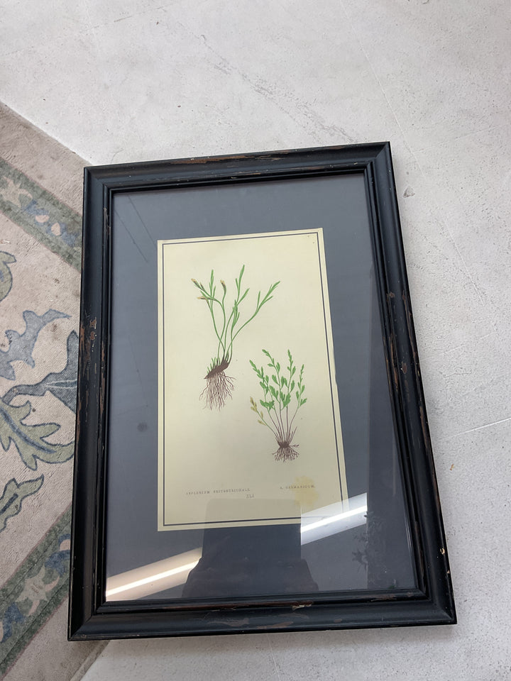 Picture Set
