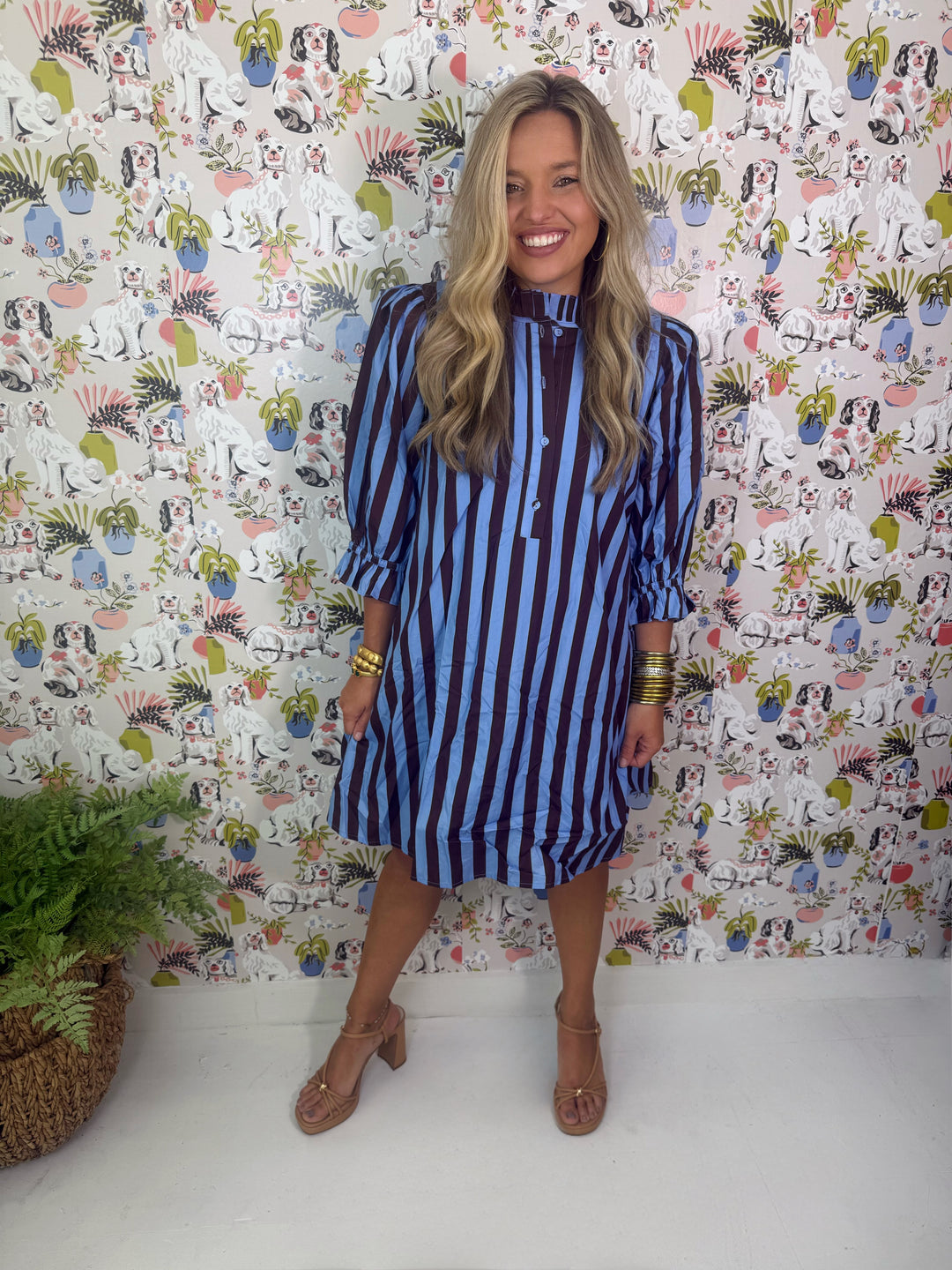 The Blue Willow Stripe Dress (Plus Size)