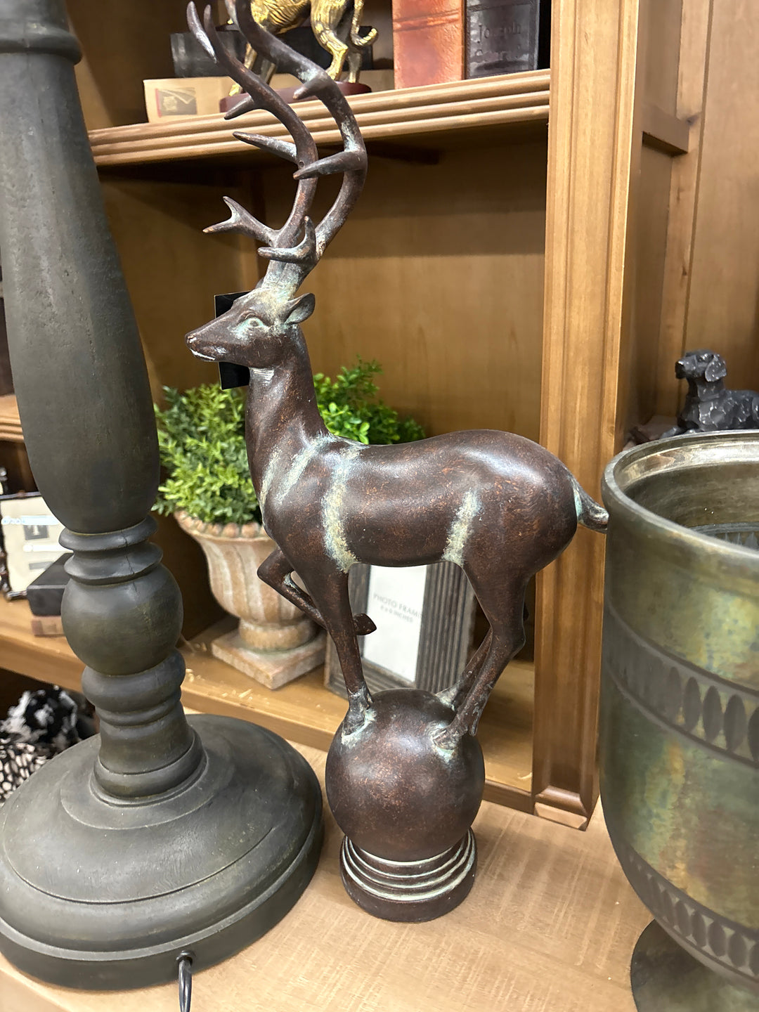 Deer
