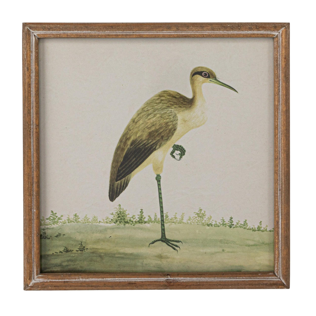 Bird Picture