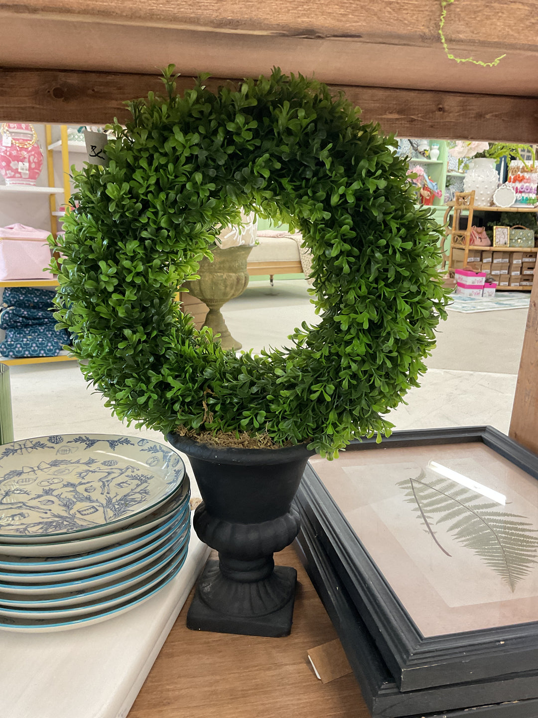 Potted Plant Decor