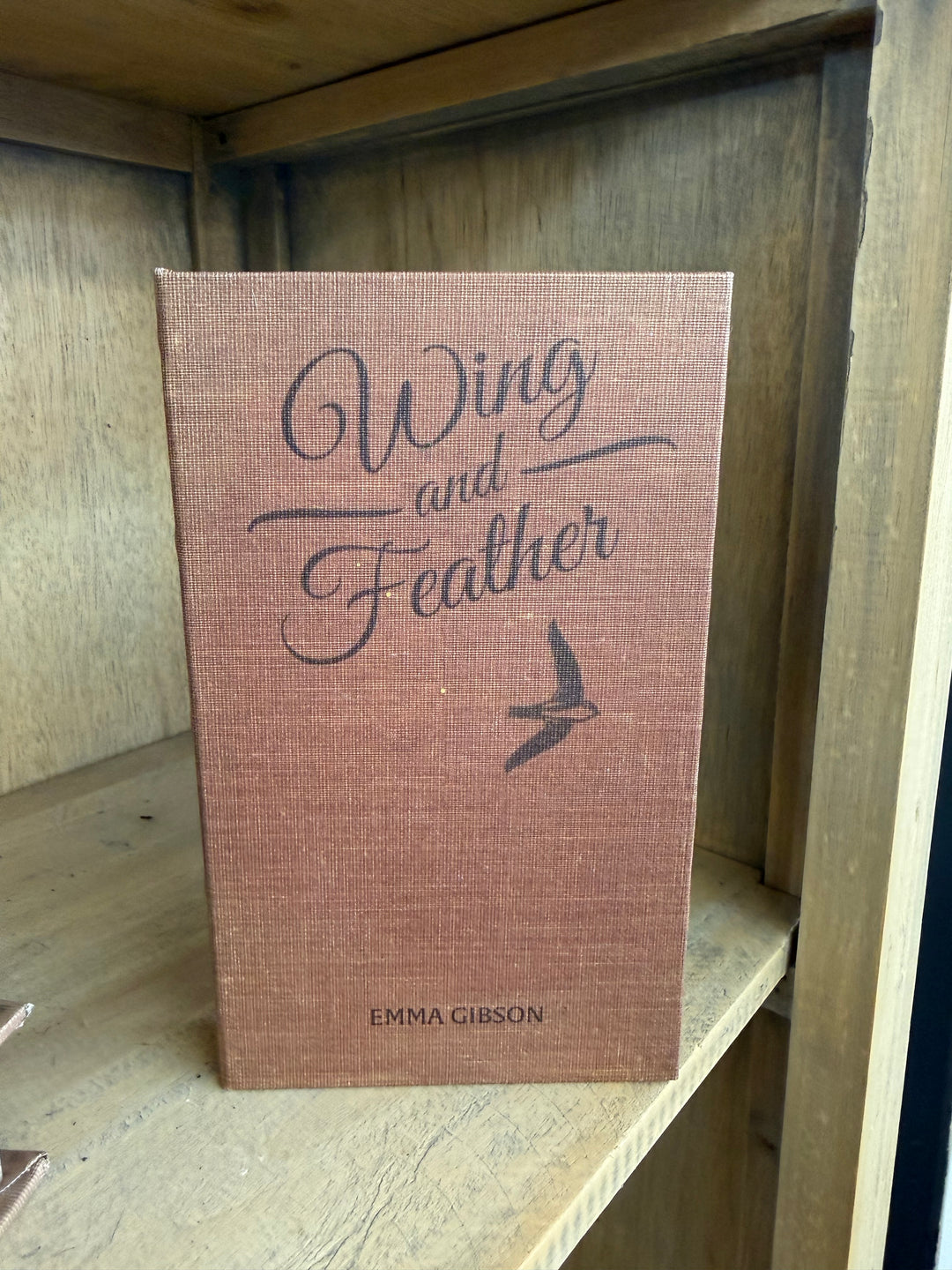 Wings and Feathers Book Decor