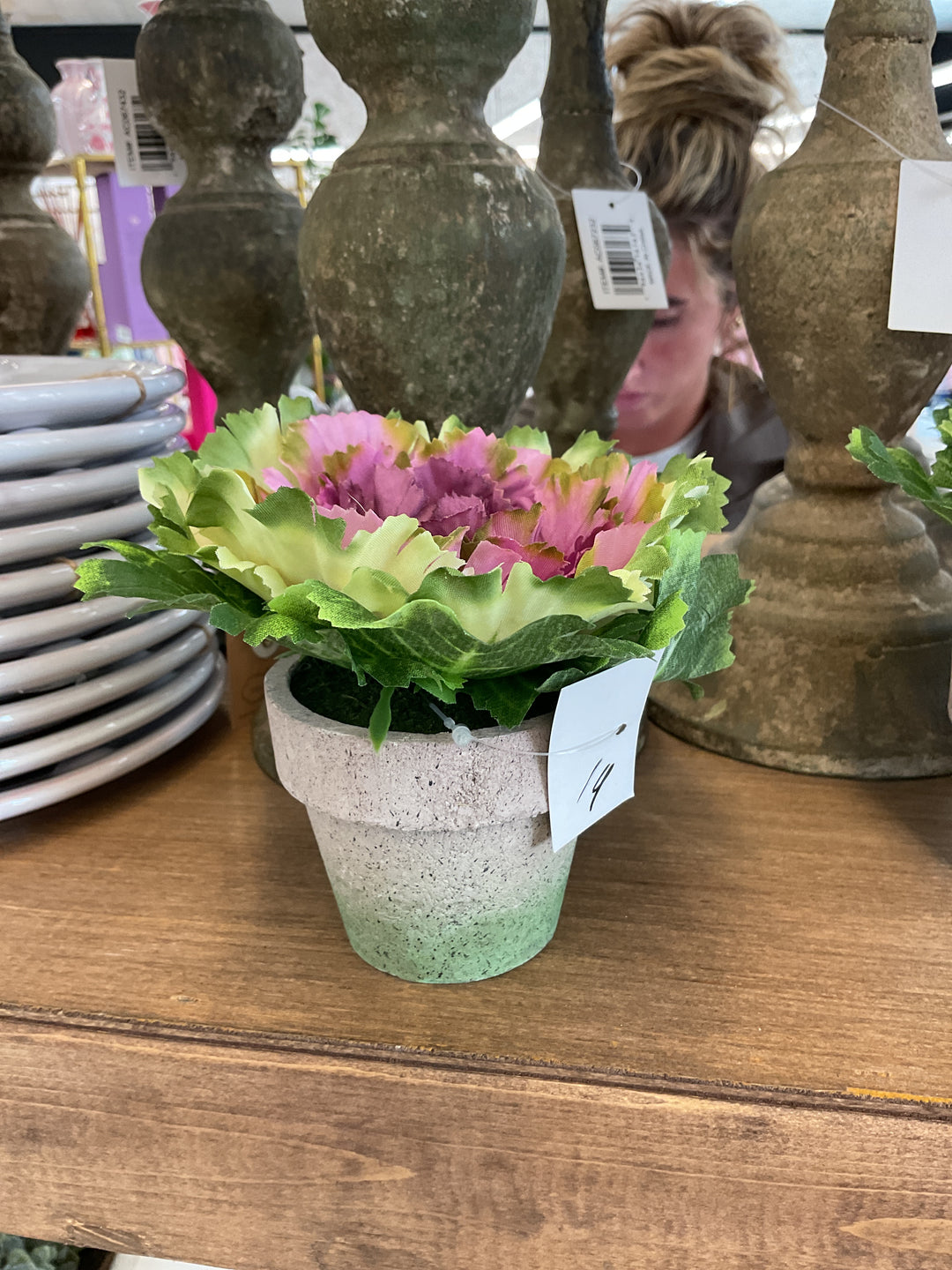 Plant