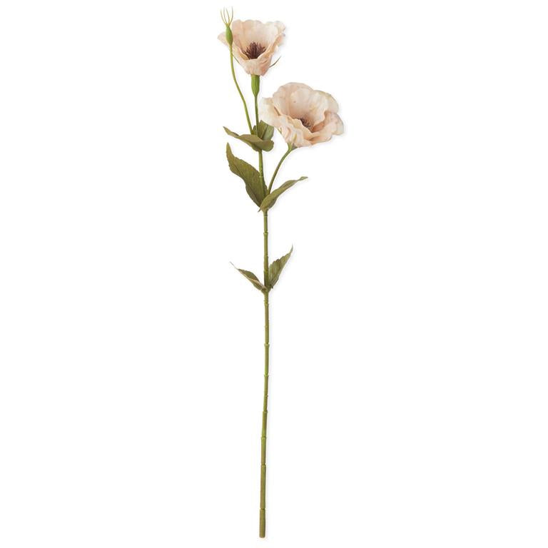 19 Inch Cream Real Touch Bellflower