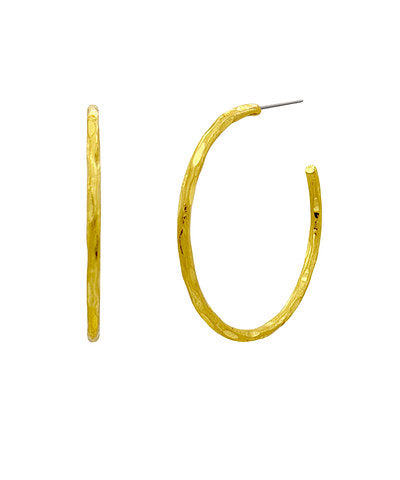 The Charleston Hoops